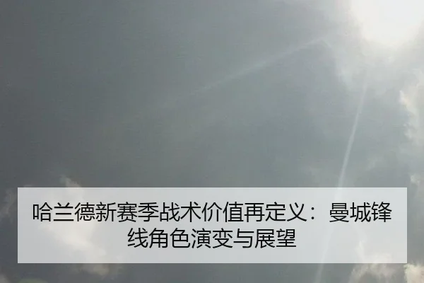 ha-lan-de-xin-sai-ji-zhan-shu-jia-zhi-zai-ding-yi-man-cheng-feng-xian-jue-se-yan-bian-yu-zhan-wang-2-572.jpg