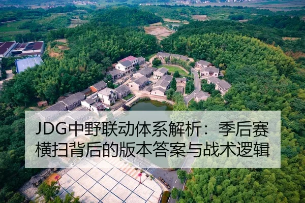 JDG中野联动体系解析：季后赛横扫背后的版本答案与战术逻辑